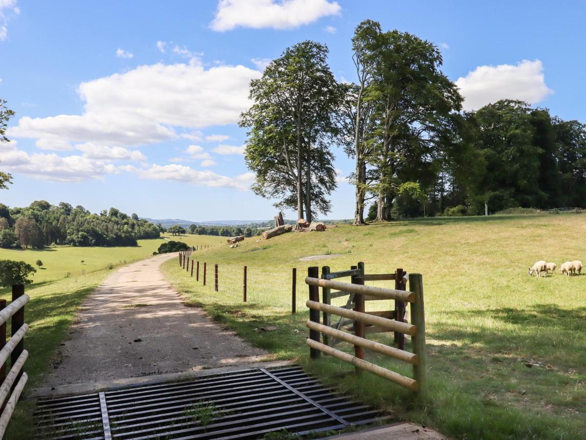 Swandown, 20 Poldon Villa Chard Dış mekan fotoğraf