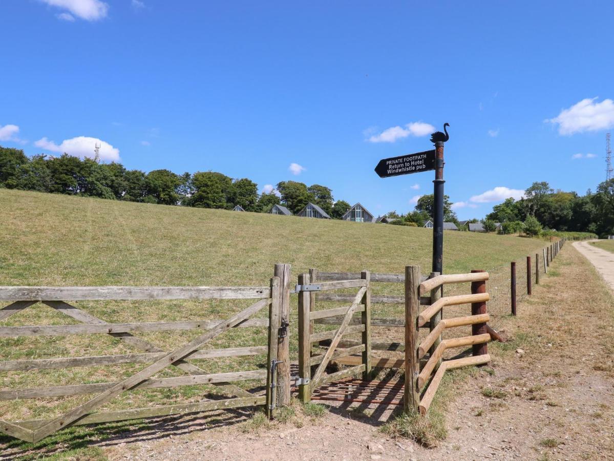 Swandown, 20 Poldon Villa Chard Dış mekan fotoğraf